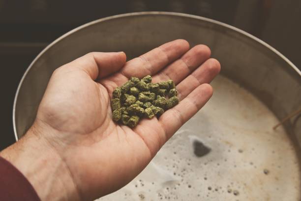 istock Brewing craft beer in a kitchen. Home brewing concept image. 1166991553