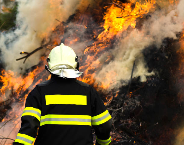 istock Fireman on the back of forest fire and smoke 1166991781