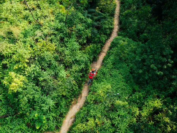 Photo of Aerail view of cross country biking woman cyclist with mountain bike walking on tropical rainforest trail