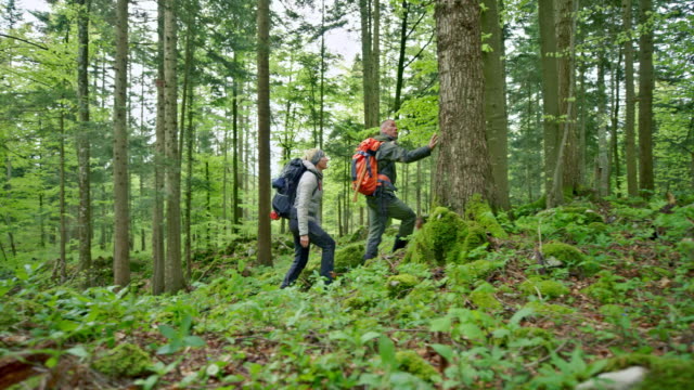 Man and woman walking through a forest carrying large backpacks