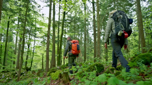 Two wilderness survival experts specialist walking through a forest