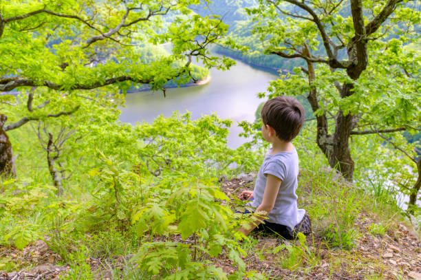 landscape by the mountain lake among coniferous forest. wonderful nature scenery in springtime at high noon.