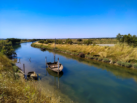 salt marshes in Vendée