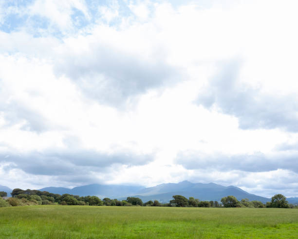 montanhas irlandesas as mais elevadas com carrauntoohil na península do kerry - macgillicuddys reeks - fotografias e filmes do acervo