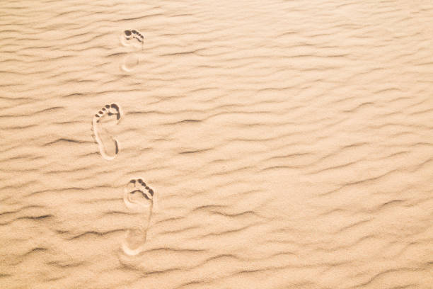 huellas humanas frescas en arena seca en el soleado día de verano. adelante. lugar vacío para texto, cita o refranes. vista superior. - sand footprint track following fotografías e imágenes de stock