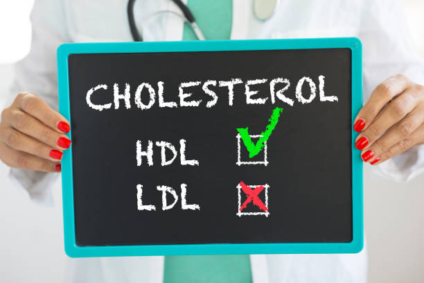 bom hdl e colesterol mau de ldl escritos no quadro-negro pelo doutor irreconhecível com estetoscópio - colesterol - fotografias e filmes do acervo