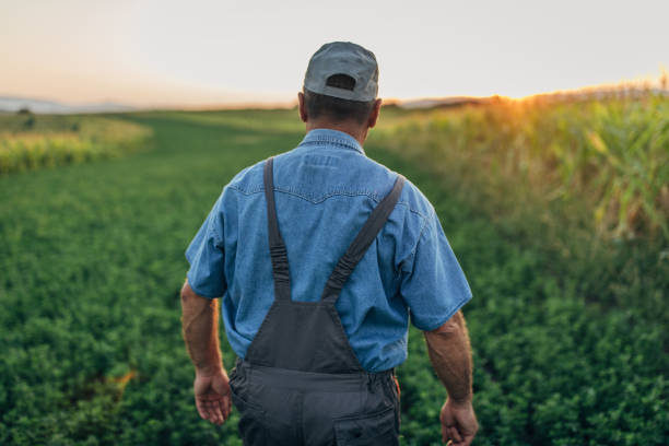istock The farmer inspects the agricultural field 1166997943