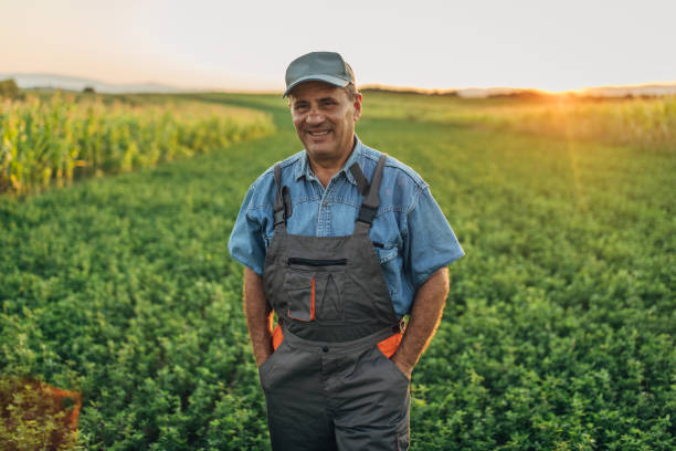 istock The farmer inspects the agricultural field 1166997944
