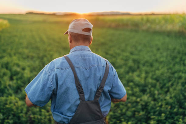 istock The farmer inspects the agricultural field 1166997989
