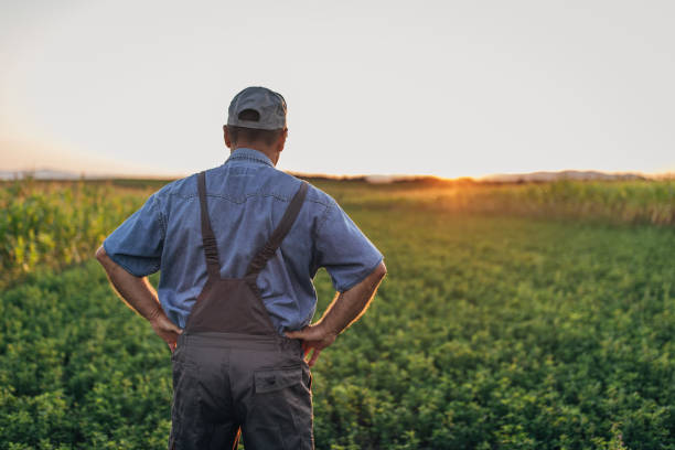istock The farmer inspects the agricultural field 1166998052