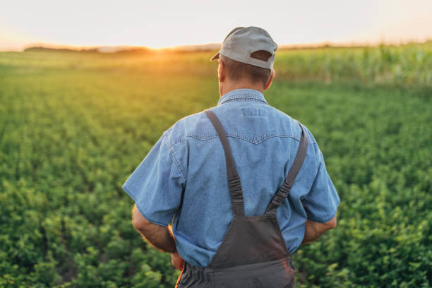 istock The farmer inspects the agricultural field 1166998053