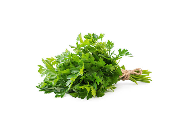 istock Bunch of parsley isolated on a white background 1167002273