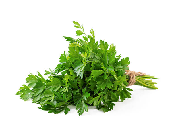 istock Bunch of parsley isolated on a white background 1167002280