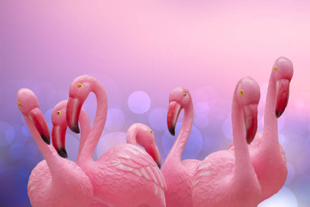 sfondo fenicottero. primo piano di un gruppo di fenicotteri di plastica rosa con messa a fuoco selettiva su sfondo tropicale astratto. concetto di carta. macro. - plastic flamingo foto e immagini stock