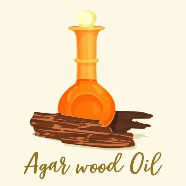 Vector illustration of Agar wood perfume or agarwood oil in bottle