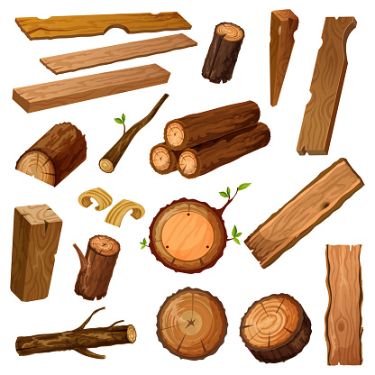 Set of isolated wood bark and tree log, brown timber trunk with wooden chips or flinders, stump or stub, textured stock of hardwood material. Firewood and crust, oak lumber and woodpile. Nature theme