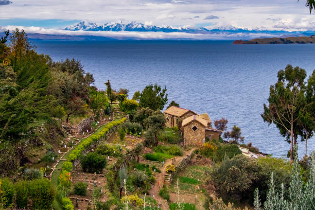 Sun Island Lake Titicaca View of Lake Titicaca from Isla del Sol, animal-shaped tree and in the background the Bolivian snowfall bolivian andes photos stock pictures, royalty-free photos & images