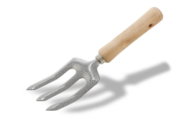 A garden hand fork isolated on white with shadow and clipping path