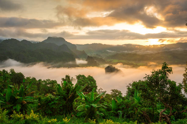 istock Phu Rare National Park, Nan ,Thailand. 1167008576