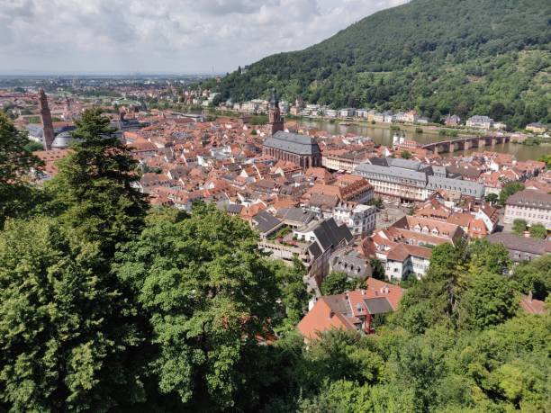 istock Heidelberg, city view, panorama 1167011660