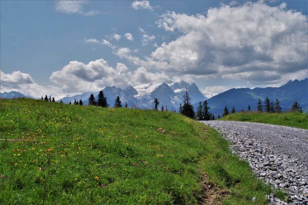 spektakularne zejście w lecie z kaserstatt do lischen w regionie hasliberg-meiringen w berneńskim oberlandzie, szwajcaria - meiringen bernese oberland switzerland eiger zdjęcia i obrazy z banku zdjęć