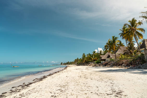istock Buildings in palm trees 1167012055