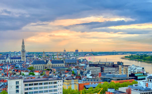 istock Aerial view of Antwerp, Belgium 1167026054