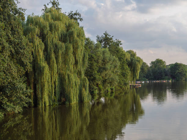 istock summer evening at a german lake 1167031951