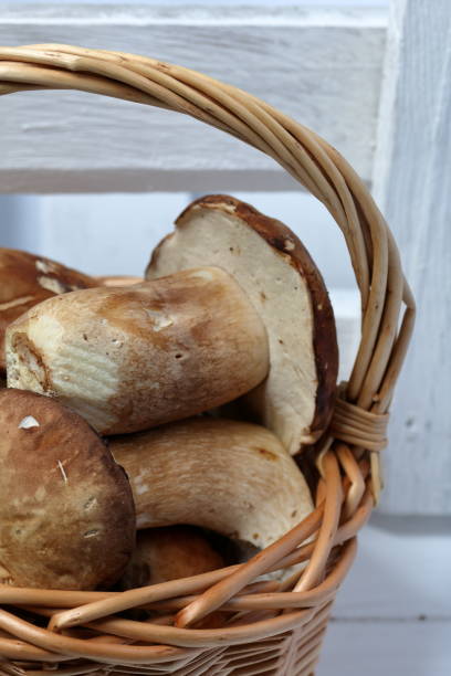 istock Wicker basket with porcini mushrooms. Close-up shot. 1167035549