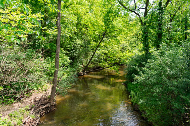 istock Stream at Waterfall Glen Forest Preserve in Suburban Lemont Illinois 1167036263
