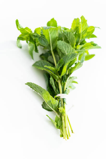 istock Fresh mint from the organic garden on a white background. 1167038387
