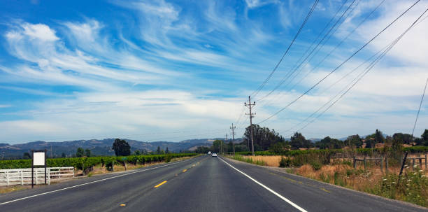 rural santa rosa - vineyard sonoma county california panoramic foto e immagini stock