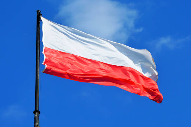 istock Polish national flag - Poland. 1167039514