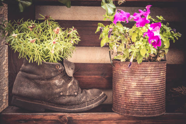 istock Creative vintage flowerpots with plants 1167041190