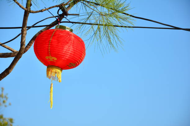 istock red chinese lamp on the tree in new year 1167042221