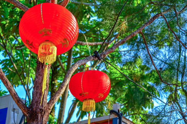 istock red chinese lamp on the tree in new year 1167042223