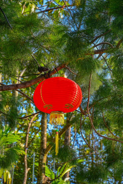 istock red chinese lamp on the tree in new year 1167042513