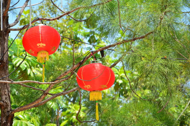 istock red chinese lamp on the tree in new year 1167042751