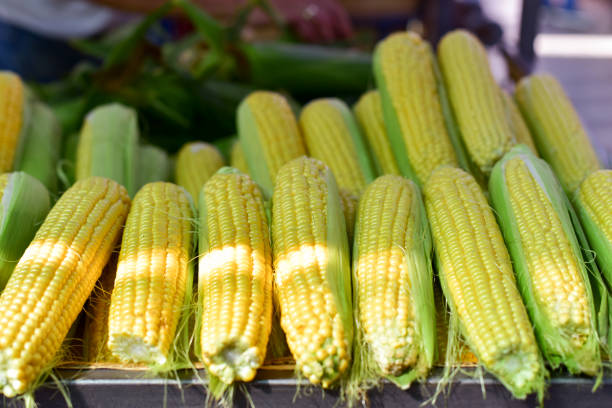 Fresh organic corn at open market