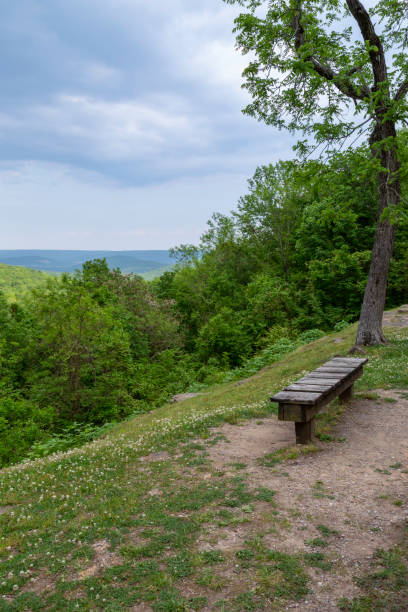 istock Wooden bench on a mountainside 1167048428