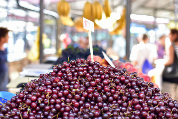 Rainier Cherry or just plain Yellow Cherry harvest and put on sale at the local Northern California Farmer's Market in Danville, California.