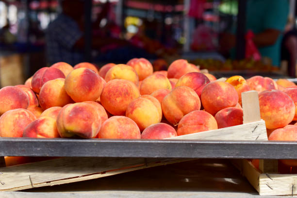 istock Organic peaches in the market 1167048647