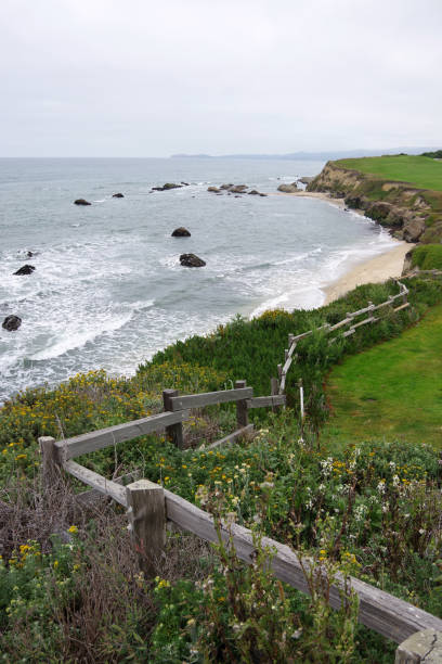 istock California coast on a gray day 1167050215