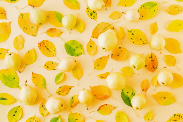 istock Flat lay pattern with colorful autumn leaves and yellow pears on a color background 1167051763