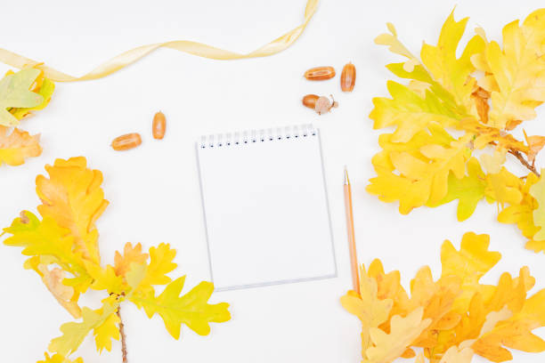 istock Mockup white notebook with colorful autumn leaves on a white background 1167051803
