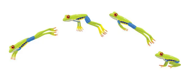 Vector illustration of Red Eye Tree Frog Jumping Cartoon Vector Illustration