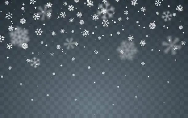 Vector illustration of Christmas snow. Falling snowflakes on dark background. Snowfall. Vector illustration