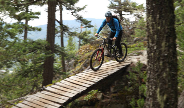 istock Male mountain biker follows trail through forest 1167056983