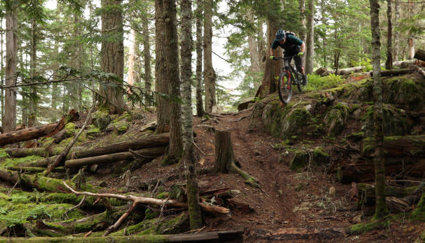 istock Male mountain biker follows trail through forest 1167057547