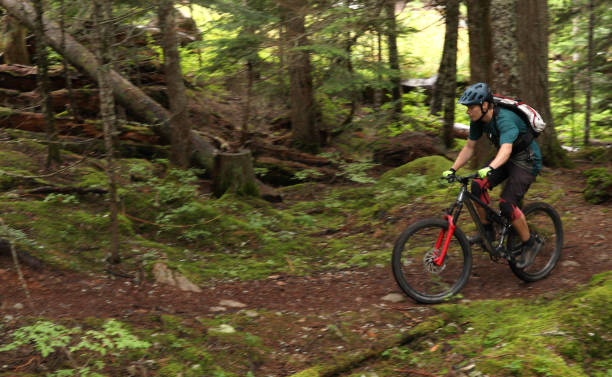 istock Male mountain biker follows trail through forest 1167057554
